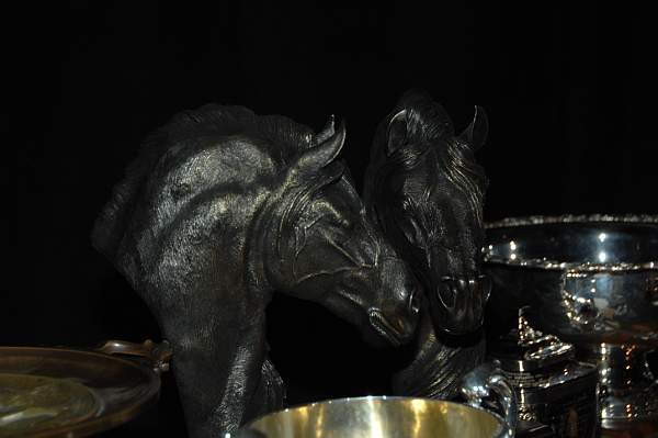 1-16-09-USEFConvention-120-DeRosaPhoto.jpg