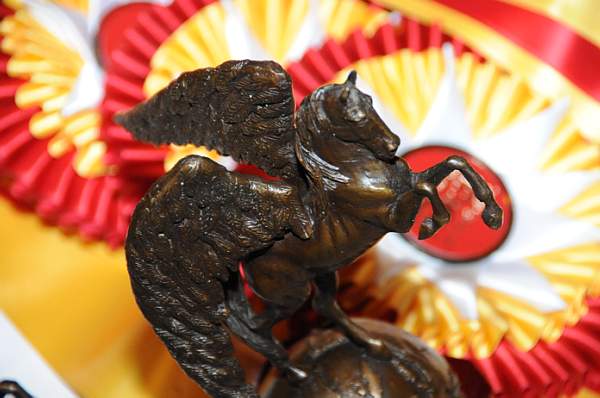 1-16-09-USEFConvention-129-DeRosaPhoto.jpg