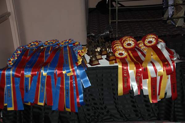 1-16-09-USEFConvention-135-DeRosaPhoto.jpg