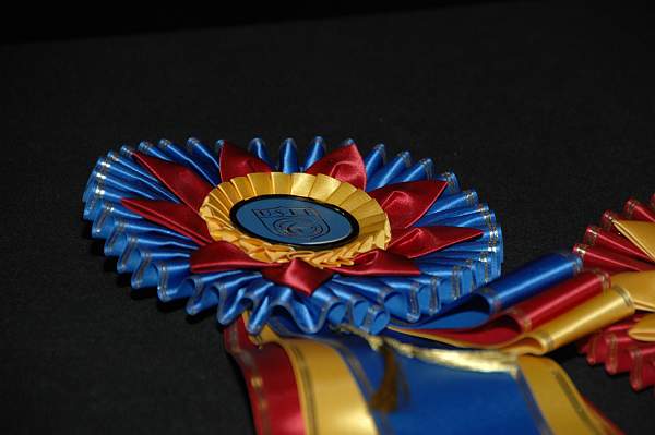 USEF-1-14-10-163-DDeRosaPhoto.jpg