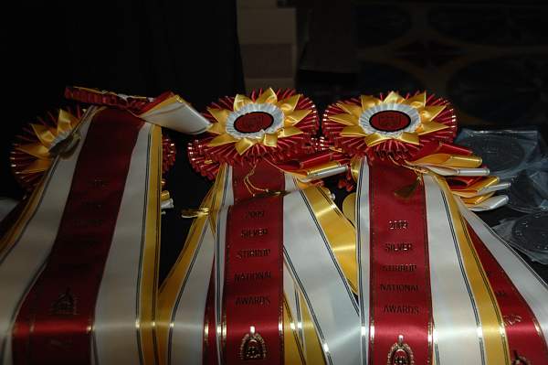 USEF-1-14-10-173-DDeRosaPhoto.jpg