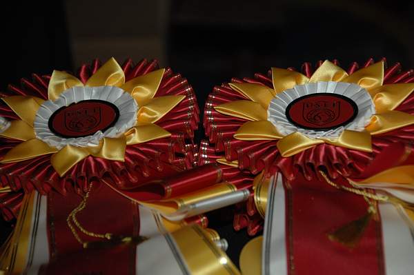 USEF-1-14-10-174-DDeRosaPhoto.jpg