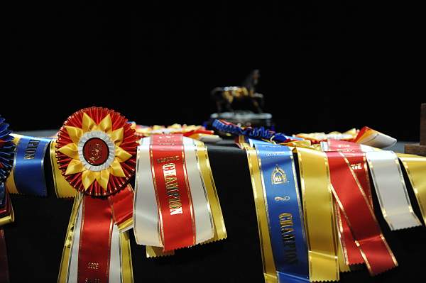 USEF-1-14-10-256-DDeRosaPhoto.jpg