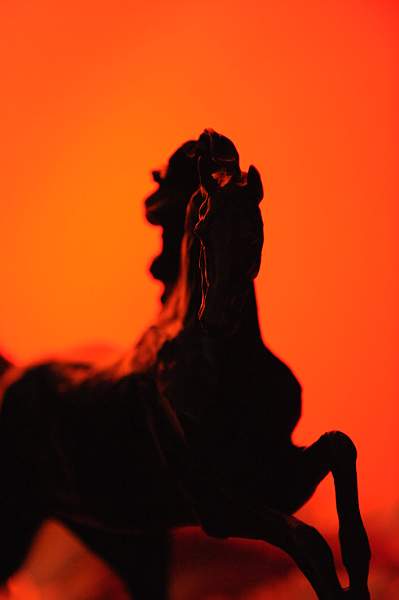 USEF-1-15-10-322-DDeRosaPhoto.jpg