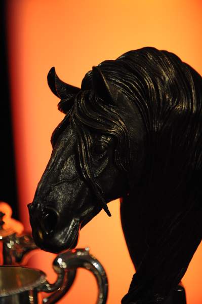 USEF-1-15-10-345-DDeRosaPhoto.jpg