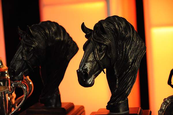 USEF-1-15-10-348-DDeRosaPhoto.jpg
