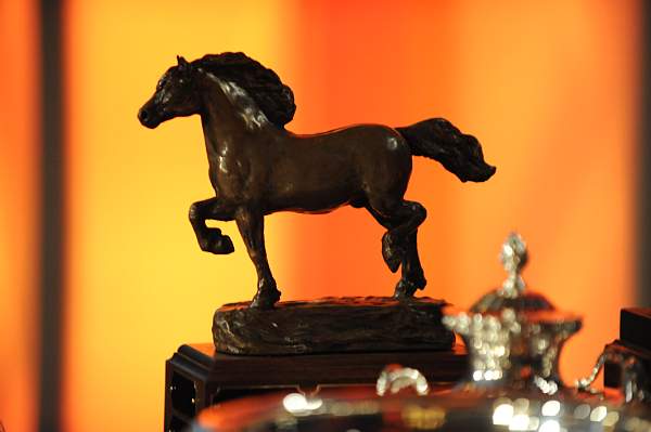 USEF-1-15-10-358-DDeRosaPhoto.jpg