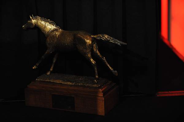 USEF-1-15-10-359-DDeRosaPhoto.jpg