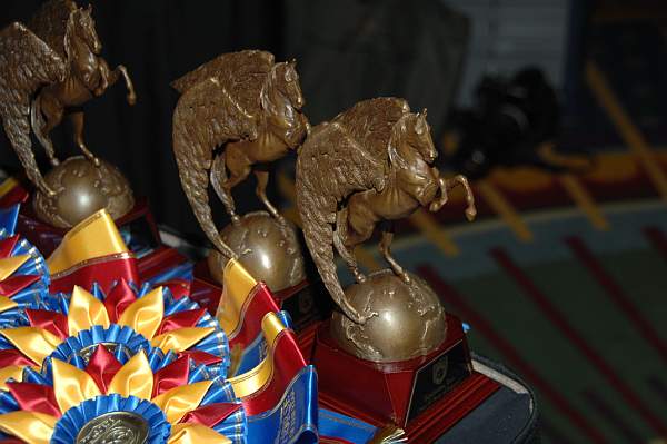 USEF-1-15-10-366-DDeRosaPhoto.jpg