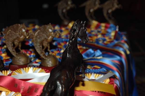 USEF-1-15-10-370-DDeRosaPhoto.jpg