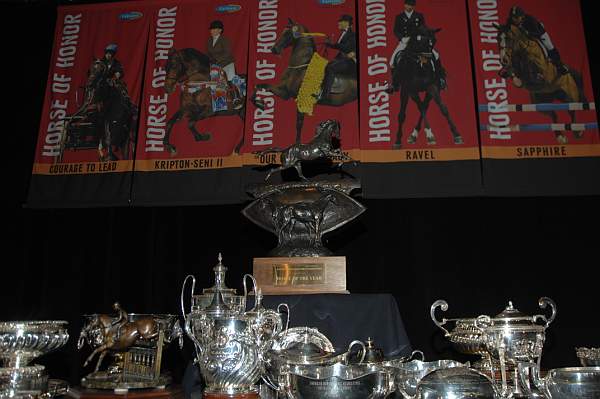 USEF-1-15-10-376-DDeRosaPhoto.jpg