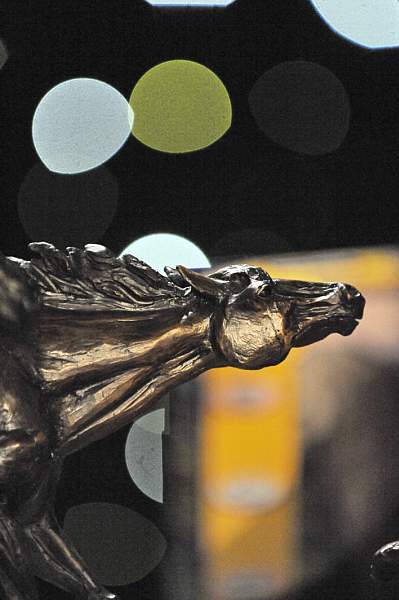 USEF-1-16-10-824-DDeRosaPhoto.jpg
