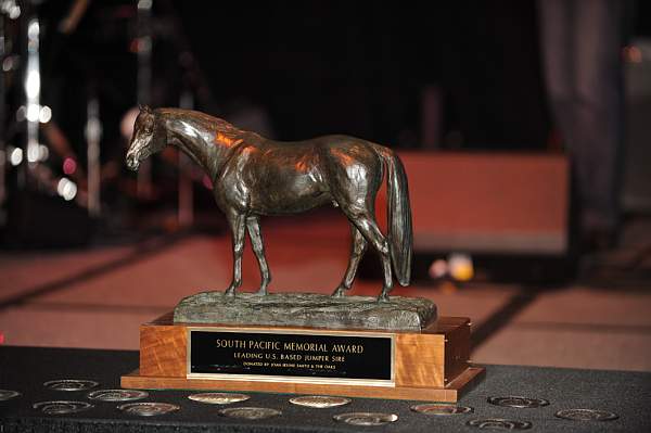 USEF-1-20-11-246-DDeRosaPhoto.jpg