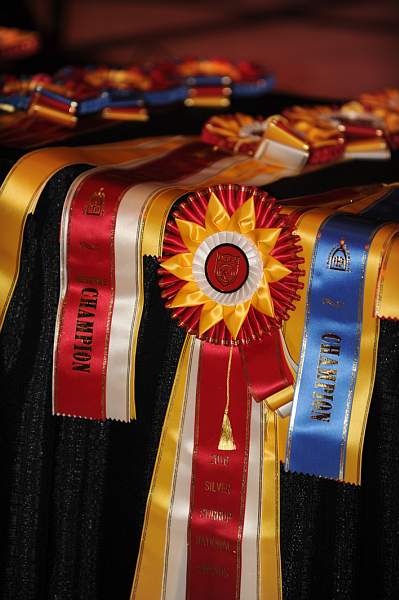 USEF-1-20-11-247-DDeRosaPhoto.jpg