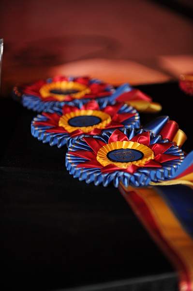 USEF-1-20-11-261-DDeRosaPhoto.jpg