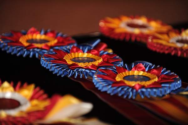 USEF-1-20-11-262-DDeRosaPhoto.jpg