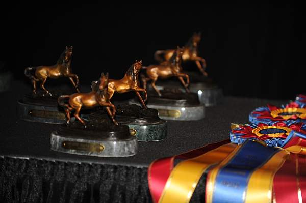 USEF-1-20-11-301-DDeRosaPhoto.jpg