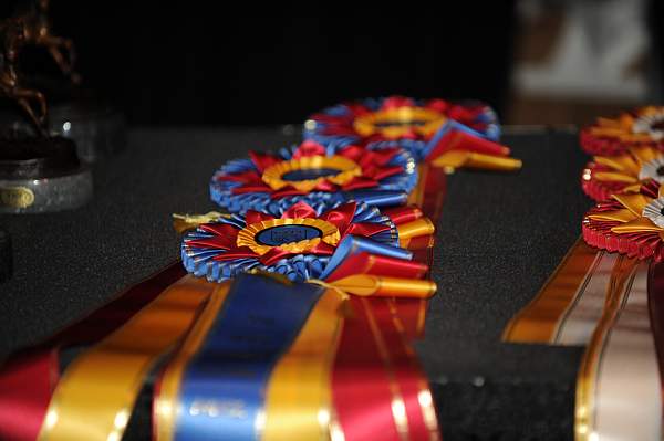 USEF-1-20-11-303-DDeRosaPhoto.jpg