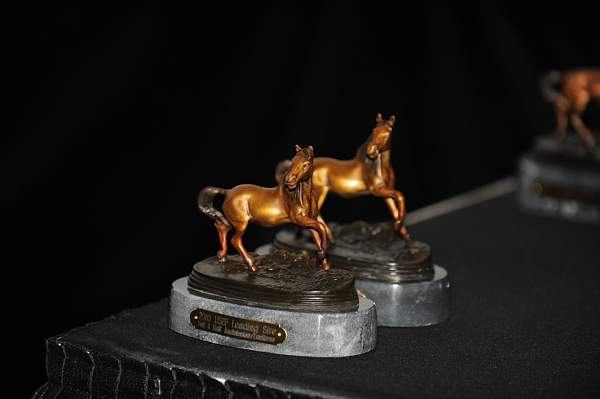 USEF-1-20-11-304-DDeRosaPhoto.jpg