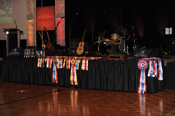 USEF-1-20-11-305-DDeRosaPhoto.jpg