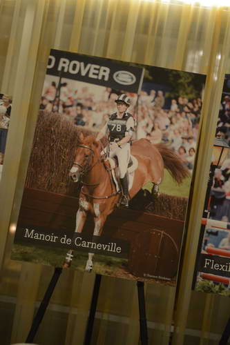 USEF-1-18-19-2013-8940-DDeRosaPhoto