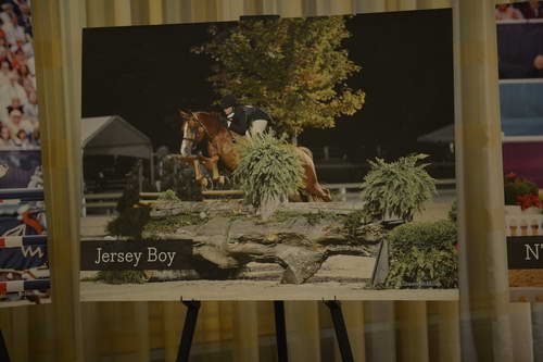 USEF-1-18-19-2013-8944-DDeRosaPhoto