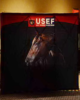 USEF-1-10-14-Pegasus-6882-DDeRosaPhoto
