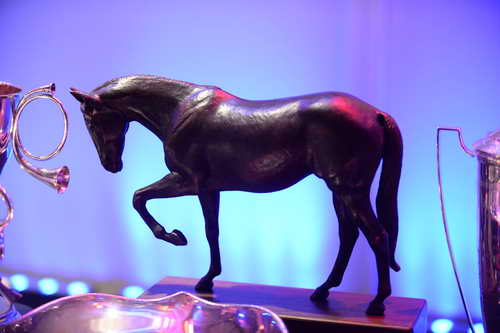 USEF-1-11-14-7000-DDeRosaPhoto