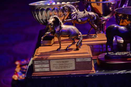 USEF-1-11-14-7006-DDeRosaPhoto