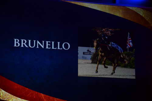 USEF-1-11-14-7310-DDeRosaPhoto