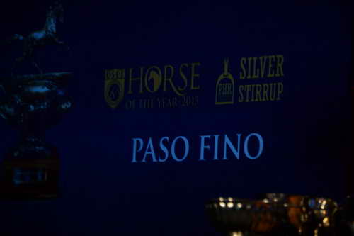 USEF-1-11-14-7334-DDeRosaPhoto