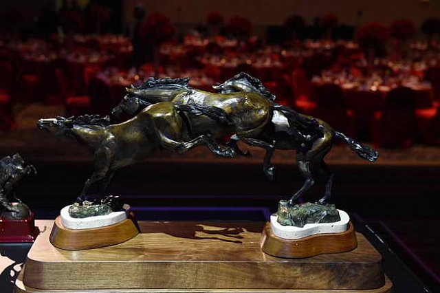 USEF-1-15-2016-1754-DDeRosaPhoto