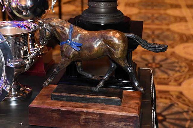 USEF-1-16-2016-1881-DDeRosaPhoto