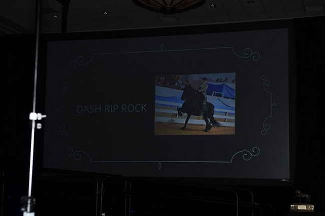 USEF-1-16-2016-2022-DDeRosaPhoto