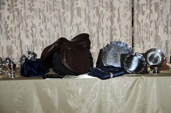 USHJA-12-8-09-294-AwardsDinner-DDeRosaPhoto_1.jpg