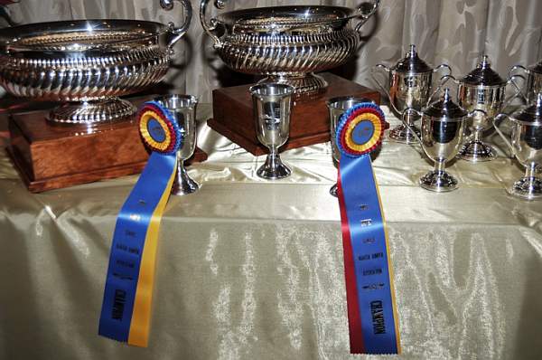 USHJA-12-8-09-300-AwardsDinner-DDeRosaPhoto_1.jpg