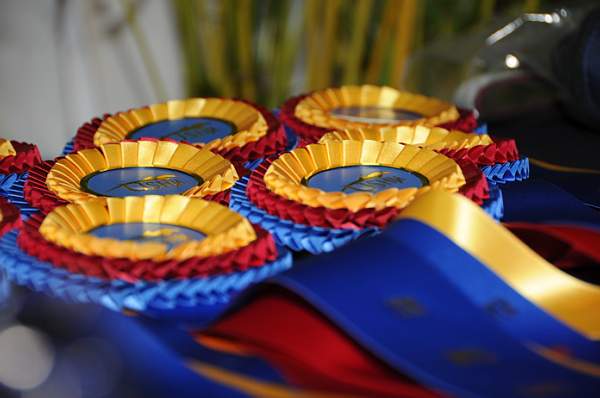 USHJA-12-8-09-312-AwardsDinner-DDeRosaPhoto_1.jpg