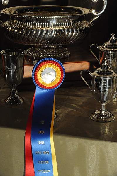 USHJA-12-8-09-319-AwardsDinner-DDeRosaPhoto_1.jpg