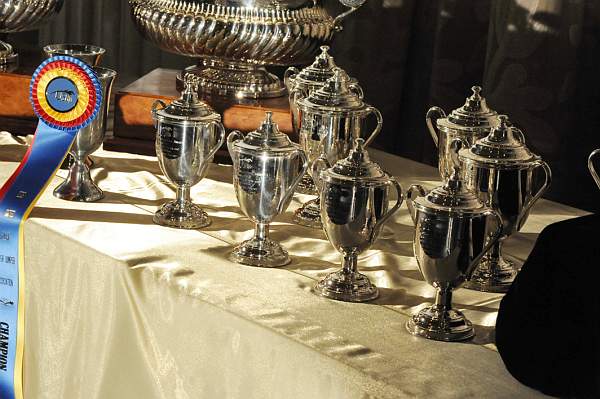 USHJA-12-8-09-329-AwardsDinner-DDeRosaPhoto_329.jpg