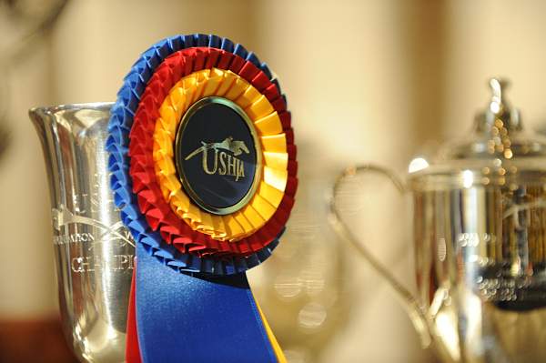 USHJA-12-8-09-338-AwardsDinner-DDeRosaPhoto_1.jpg