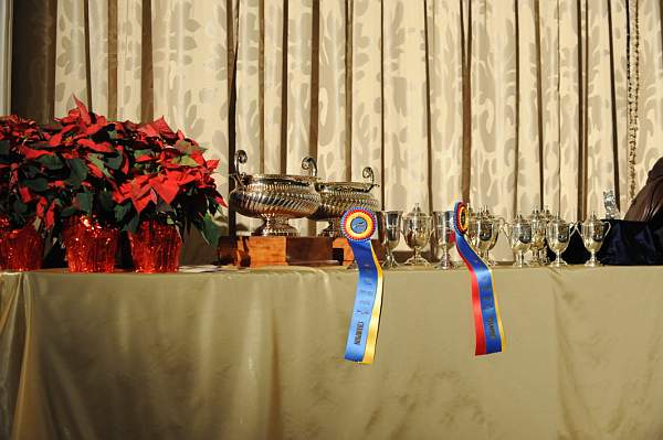 USHJA-12-8-09-346-AwardsDinner-DDeRosaPhoto.jpg