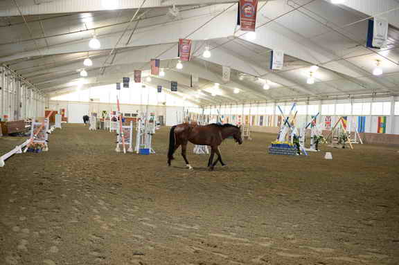 USHJA-EAP-7-12-18-0801-DDeRosaPhoto