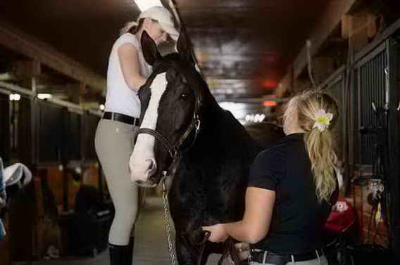 USHJA-EAP-7-11-18-0720-DDeRosaPhoto