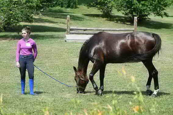 USHJA-EAP-7-11-18-3986-DDeRosaPhoto