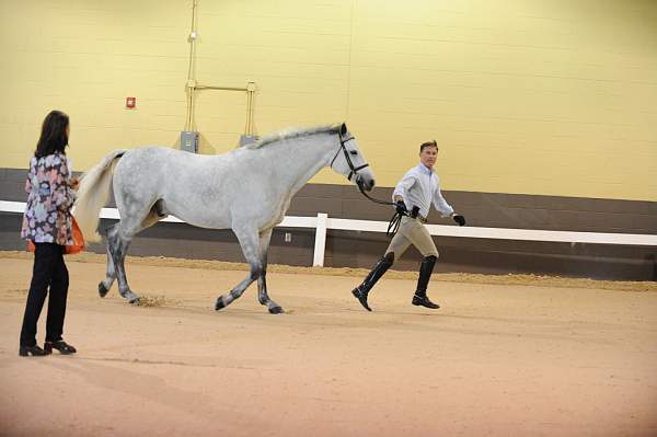 USHJA-Derby-8-19-10-Jog-DER_6829-DDeRosaPhoto.JPG