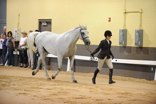 USHJA-Derby-8-19-10-Jog-DER_6858-DDeRosaPhoto.JPG