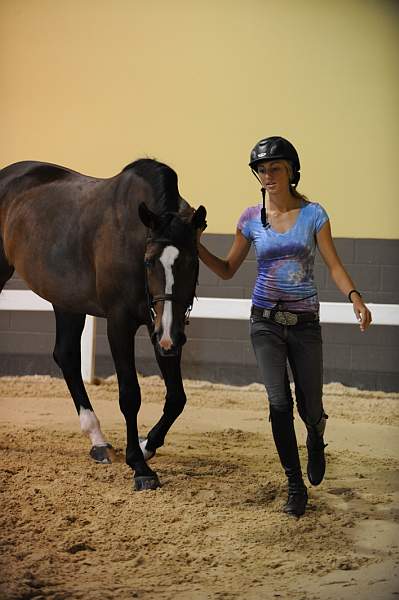 USHJA-Derby-8-19-10-Jog-DER_6973-DDeRosaPhoto.JPG