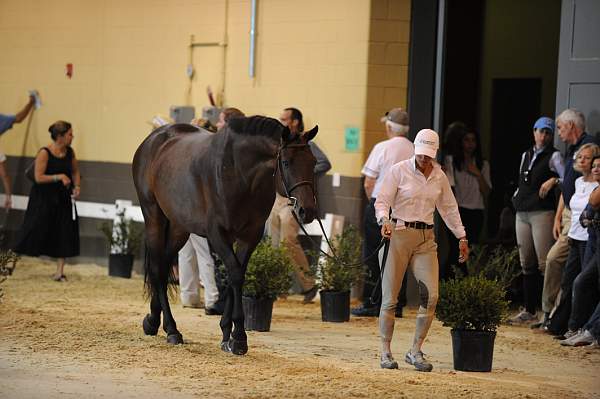USHJA-Derby-8-19-10-Jog-DER_7051-DDeRosaPhoto.JPG