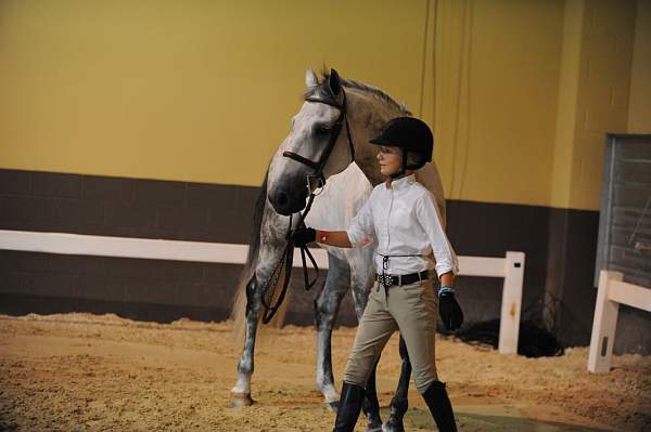 USHJA-Derby-8-19-10-Jog-DER_7101-DDeRosaPhoto.JPG