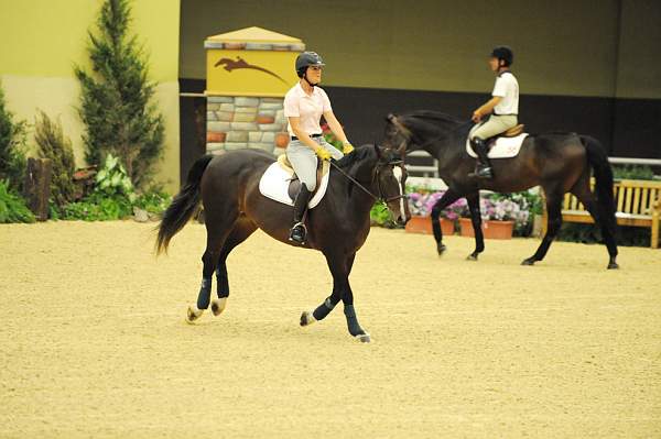 USHJA-Derby-8-19-10-Schooling-DER_6693-DDeRosaPhoto.jpg